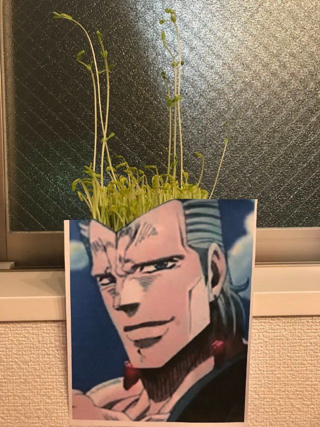 jojo真人发型,jojo波波同款发型