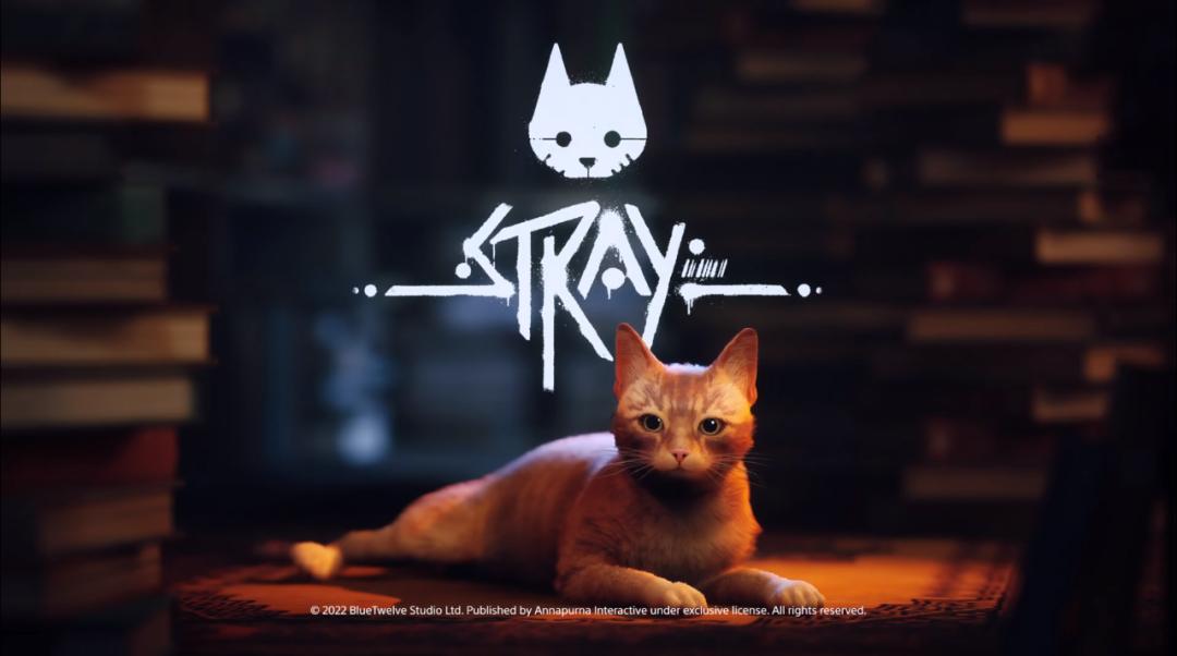 谁不想当只猫猫呢?值得一试的猫咪模拟器《Stray》