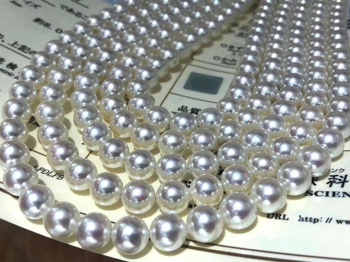 akoya海水珍珠rose目前价格,akoya海水珍珠5800元质量怎么样