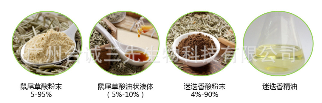 「学术前沿」迷迭香的应用现状和发展方向