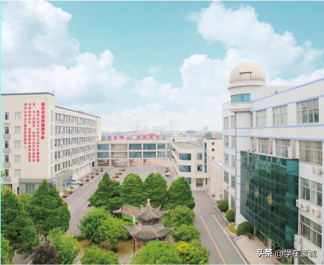 蒙城县八中高中招生办,蒙城县八中招生代码是多少