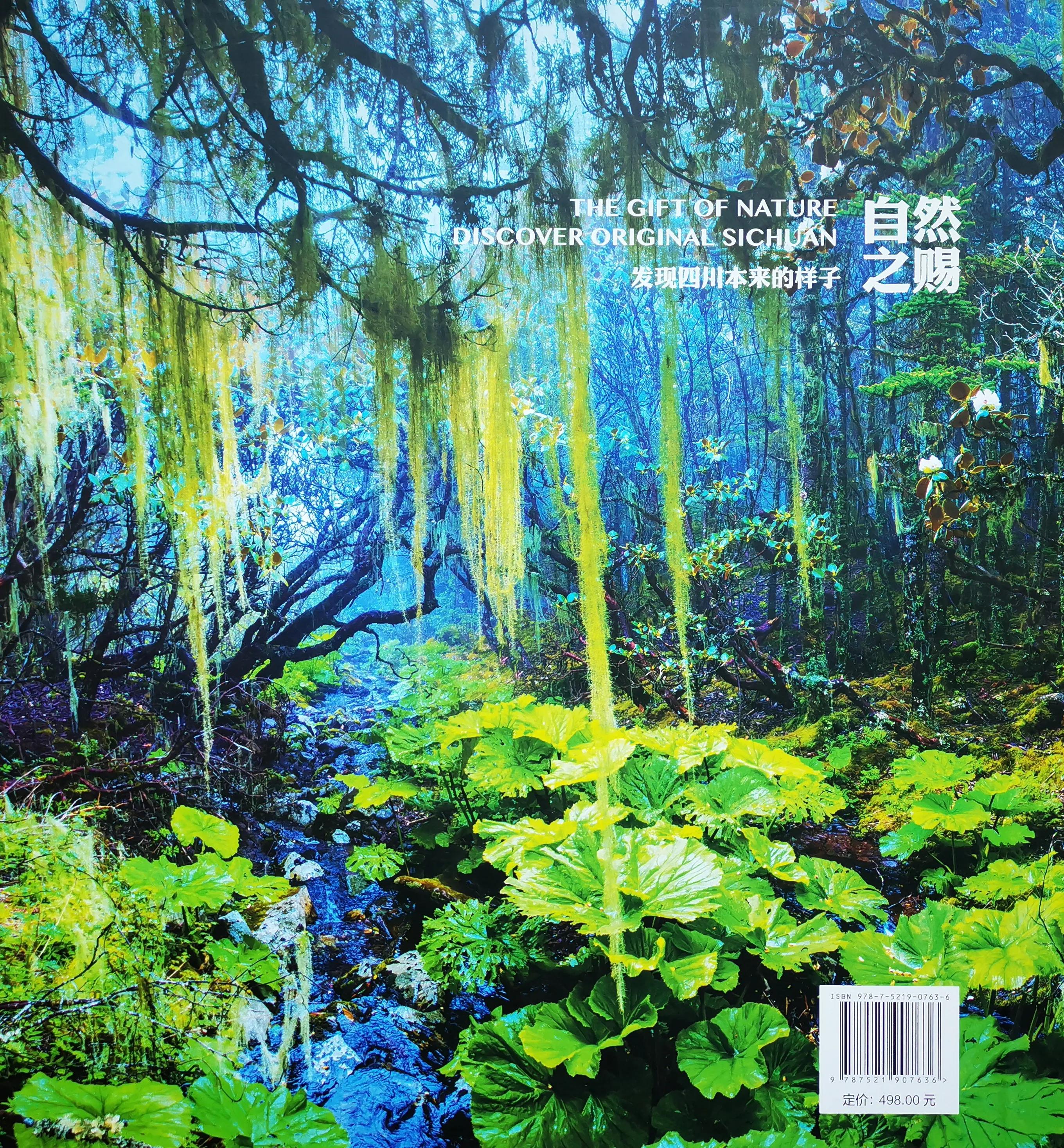 中国百慕大黑竹沟了解一下,中国百慕大黑竹沟近期气温