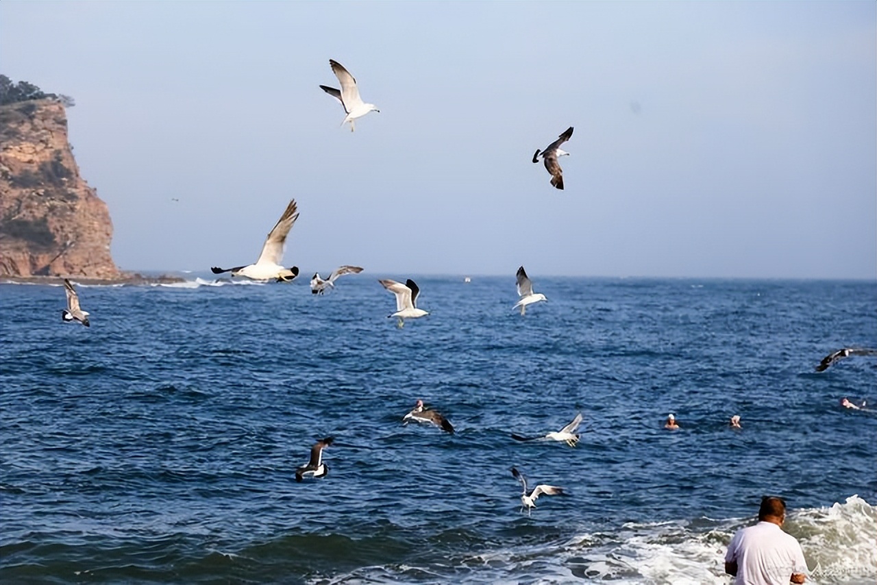 大连5天4晚自由行详细攻略,大连四天三晚旅游自由行详细攻略