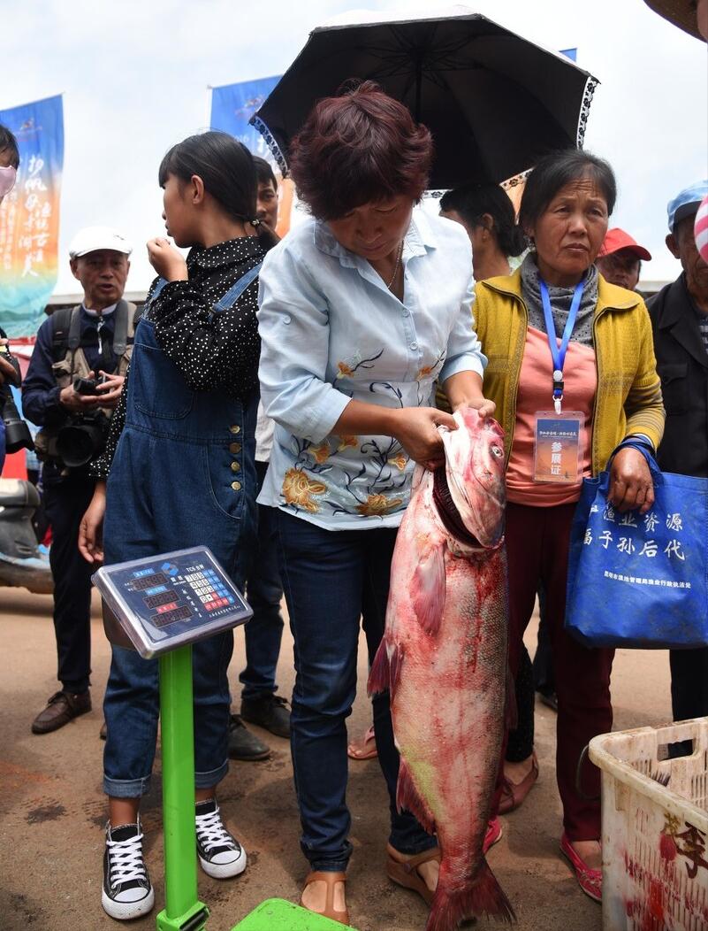 昆明滇池臭湖,滇池到底怎么样了