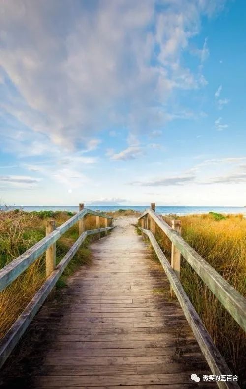 以平静之心修从容之姿,以素简之心过好每一天