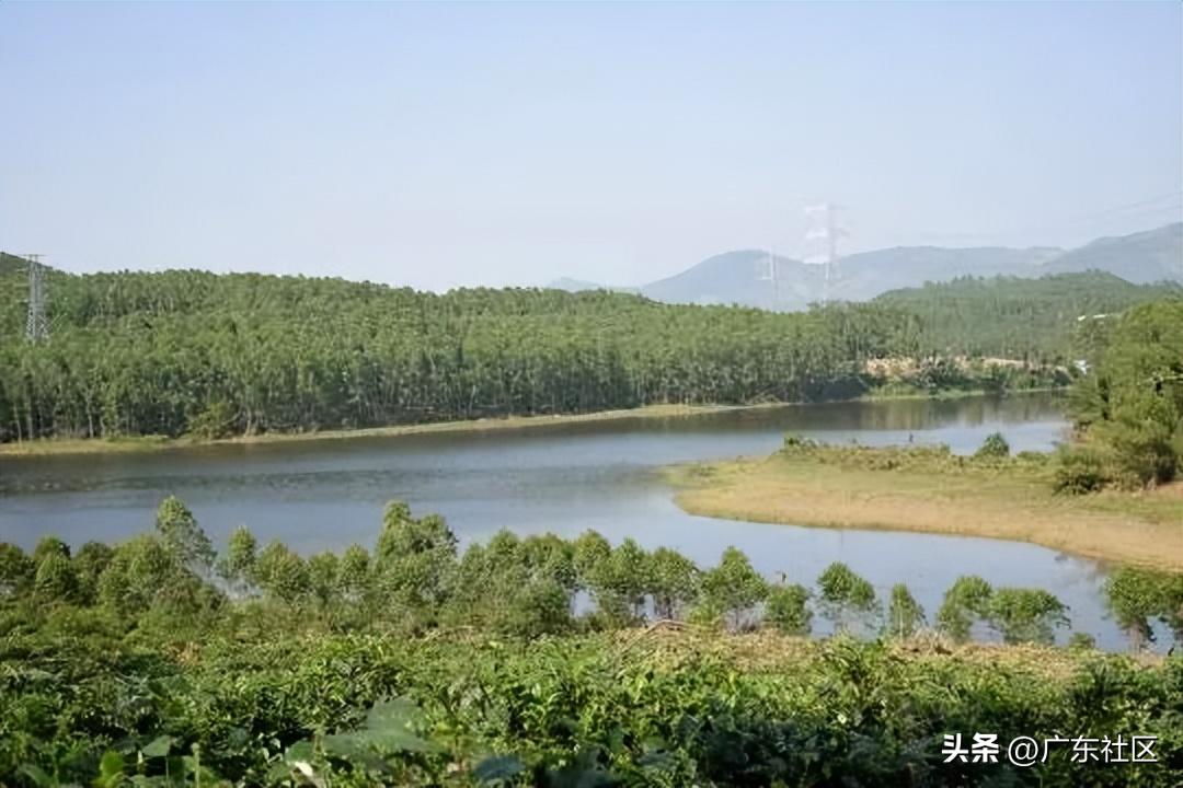 春季国内观鸟热门地,这份观鸟地图请收好