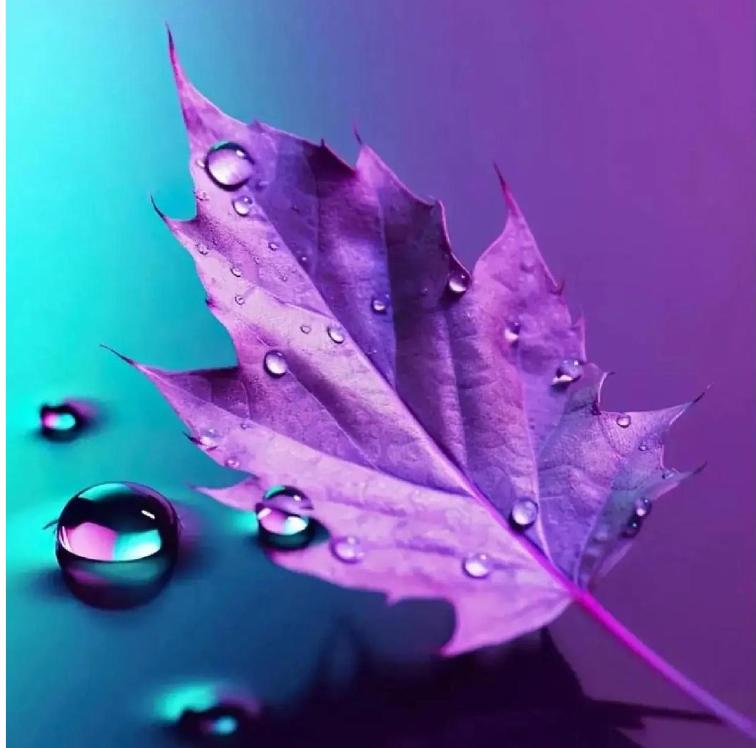 天蝎座男人的心理特征和性格分析,天蝎座男生的优缺点性格解析