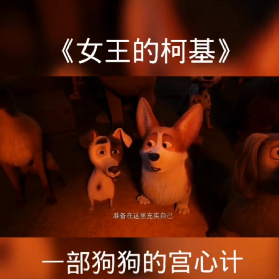 看了又看韩剧,看了又看全集