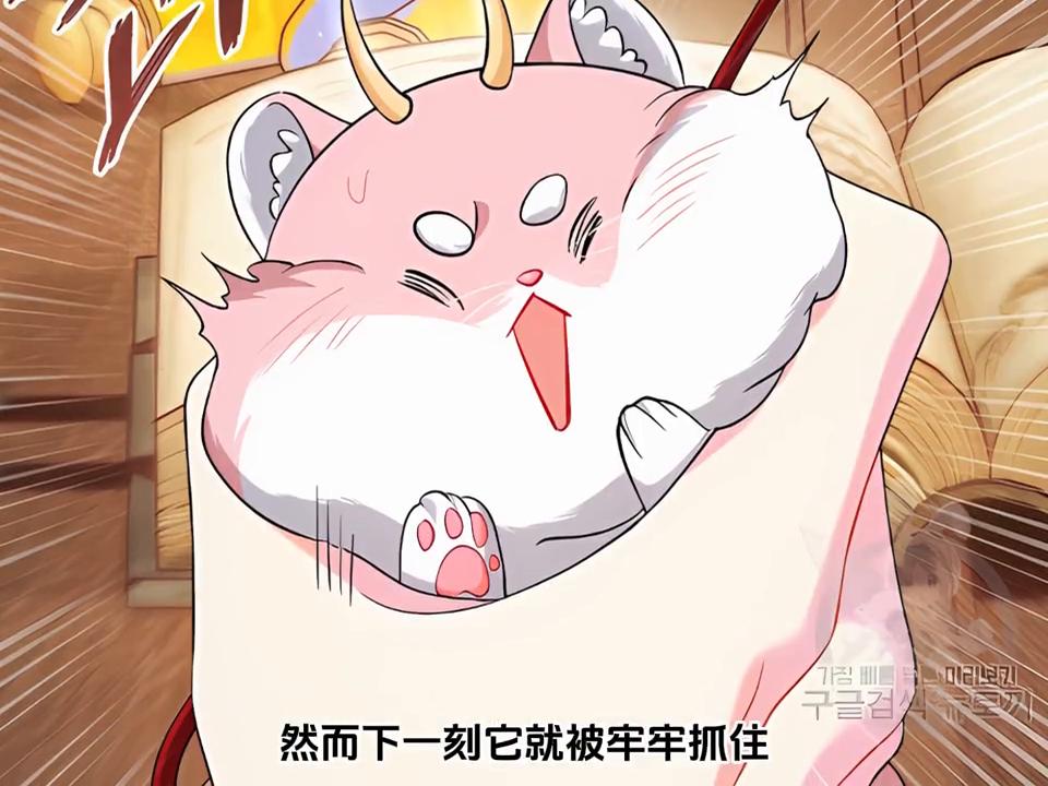 恐怖诡异可爱小仓鼠,看似很恐怖的实则很可爱的动物