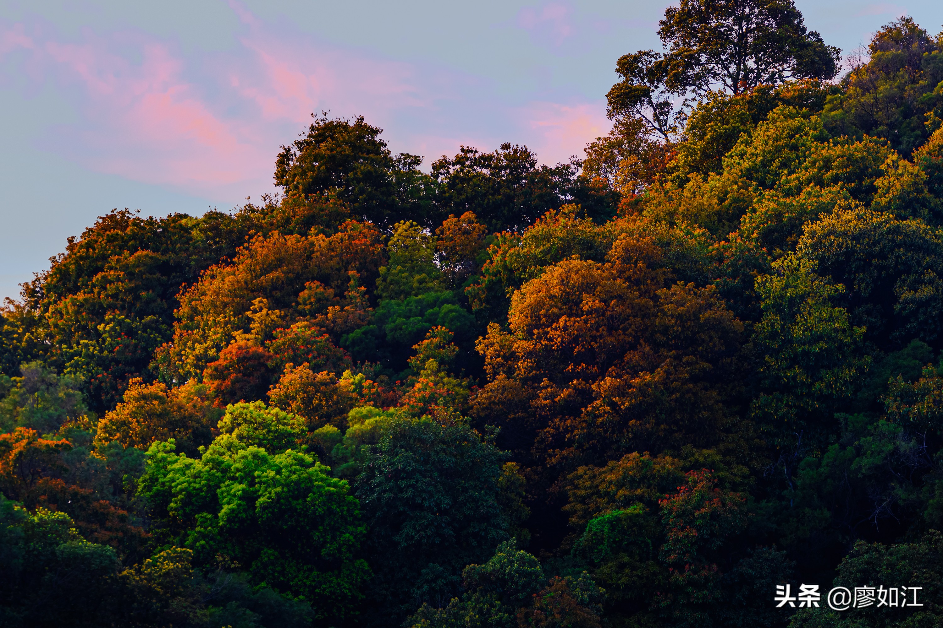 高盖山公园美篇,高盖山公园全景