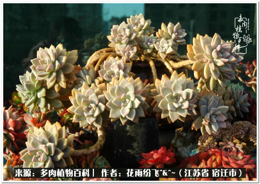 快乐的童年时光视频,回味快乐的童年美好的时光