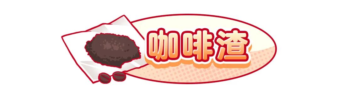 柚子皮如何放冰箱去味,橘子还是柚子皮去味效果好