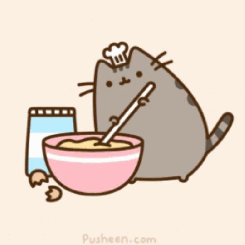 猫咪有了肛门囊填塞怎么办？