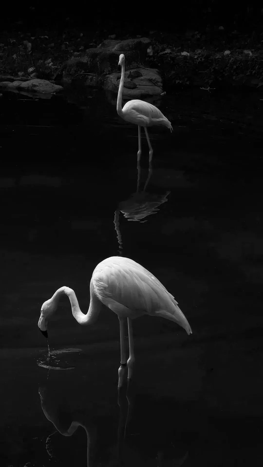 手机摄影参数基础知识,摄影手机基础知识入门