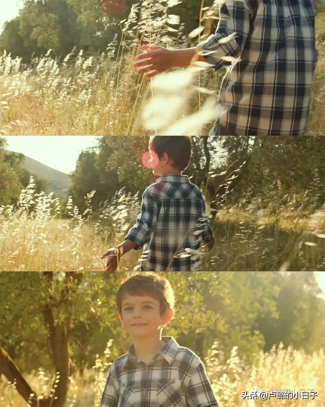 7部让你想走就走的旅行电影,吐血推荐8部关于旅行的电影