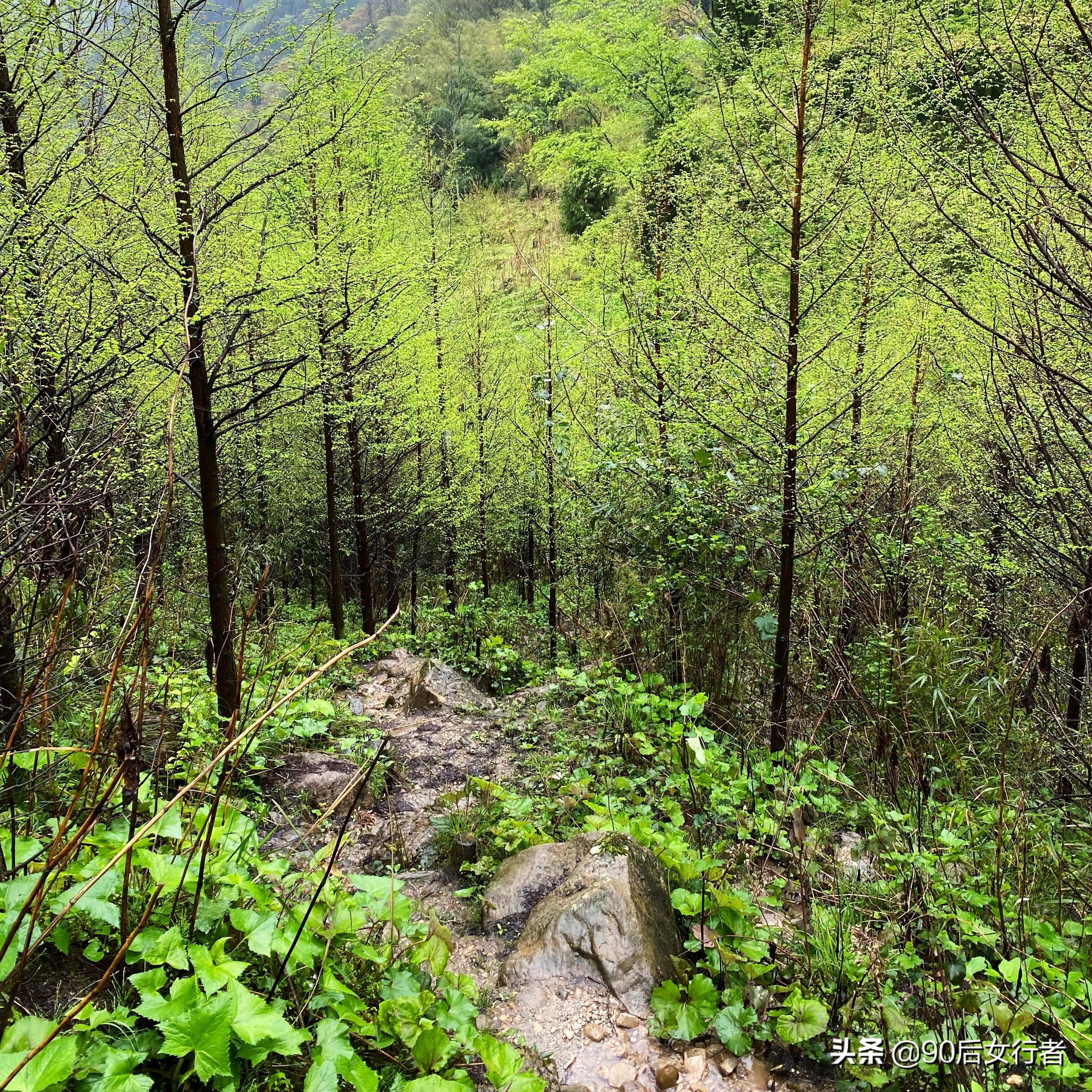 雨天徒步十里长山凹,走进大自然翻山越岭户外徒步