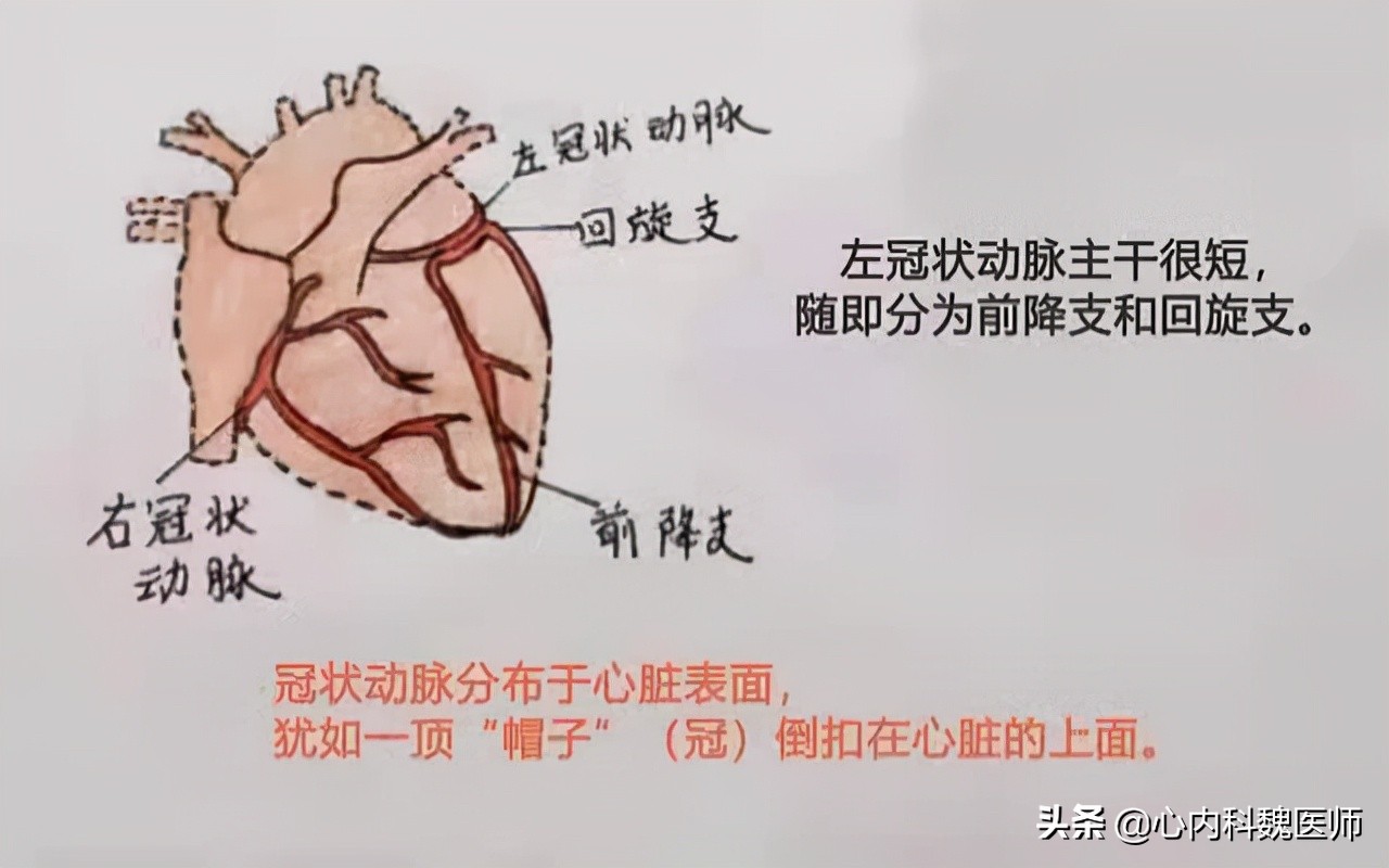 心肌缺血吃什么药效果更好,心肌缺血一般吃什么药可以缓解