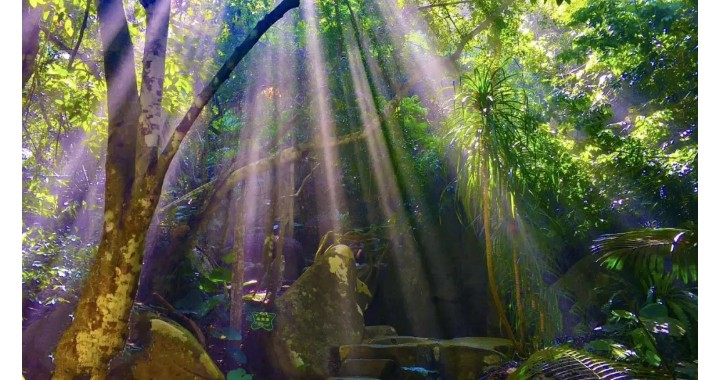 【三亚海滨康养】住在专属中国的“夏威夷”看椰林细浪享海滨风情