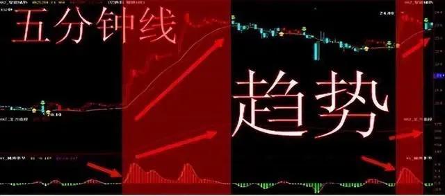 学会做t才是股市最赚钱的技巧,炒股做t方法和技巧视频讲解