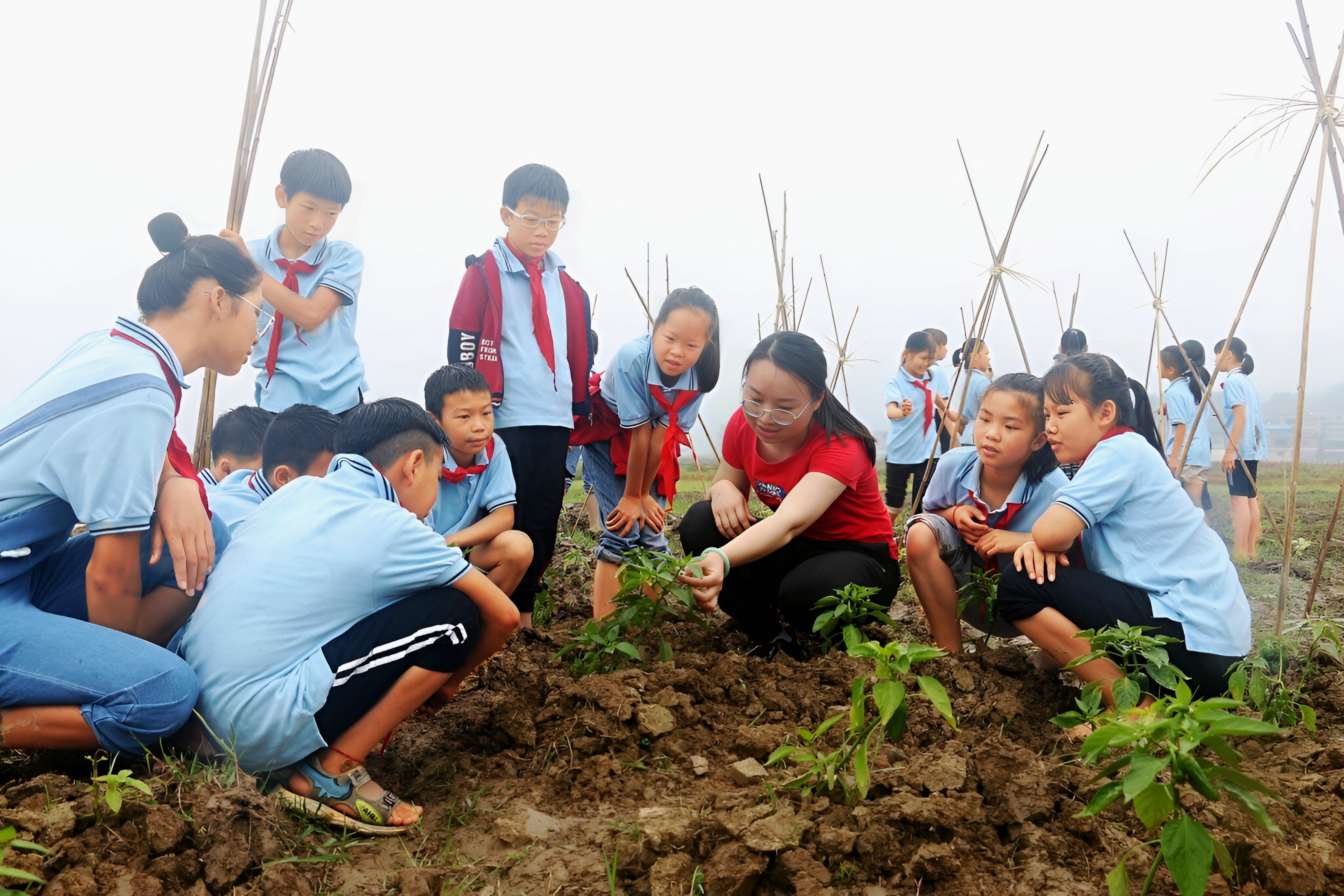 五育并举迎新春,五育并举全面成长促发展