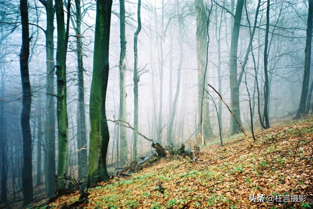 最珍贵的乌克兰遗产 (乌克兰到底有哪些世界文化遗产)