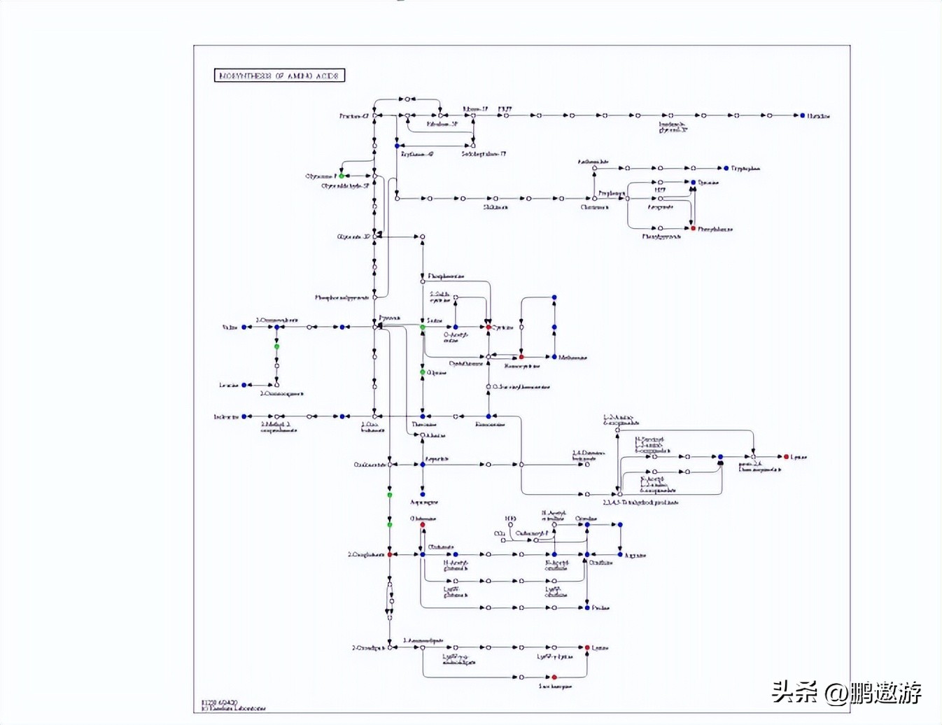 火龙果用什么颜色灯补光,普通led灯能给火龙果补光吗