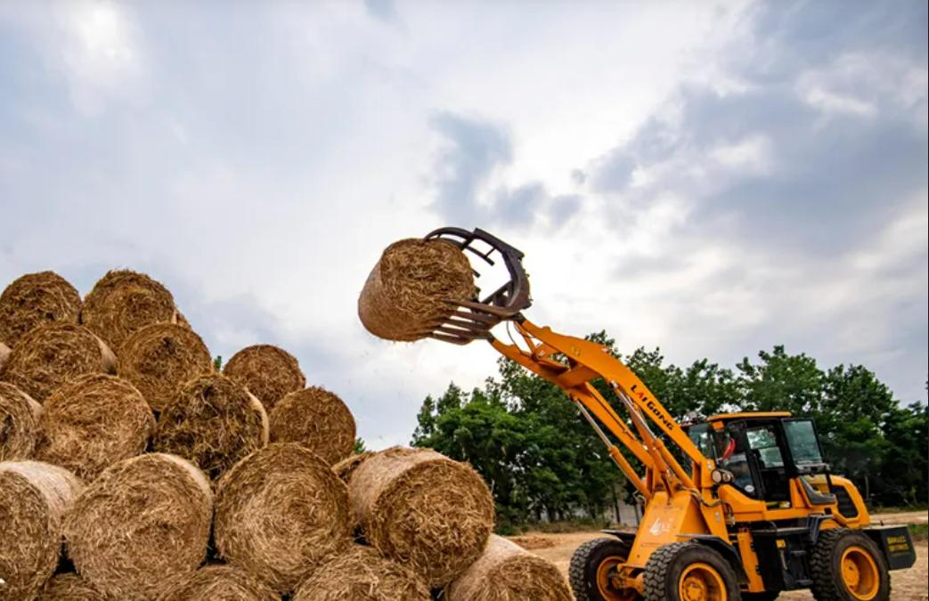农村创业致富好产业,农村做什么产业才能赚钱