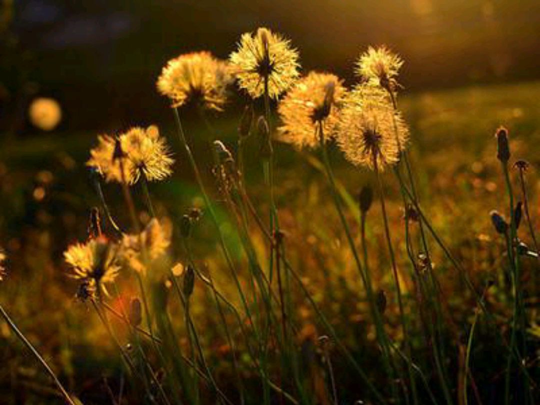 我请求老公接孩子，他拒绝了，我用同样的方式对他，却受不了了