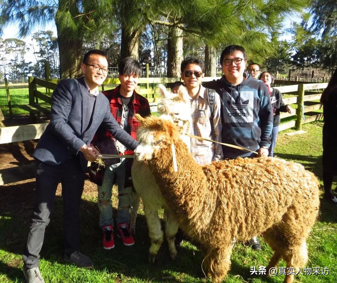 新西兰移民顾问就业前景,移民留学顾问待遇