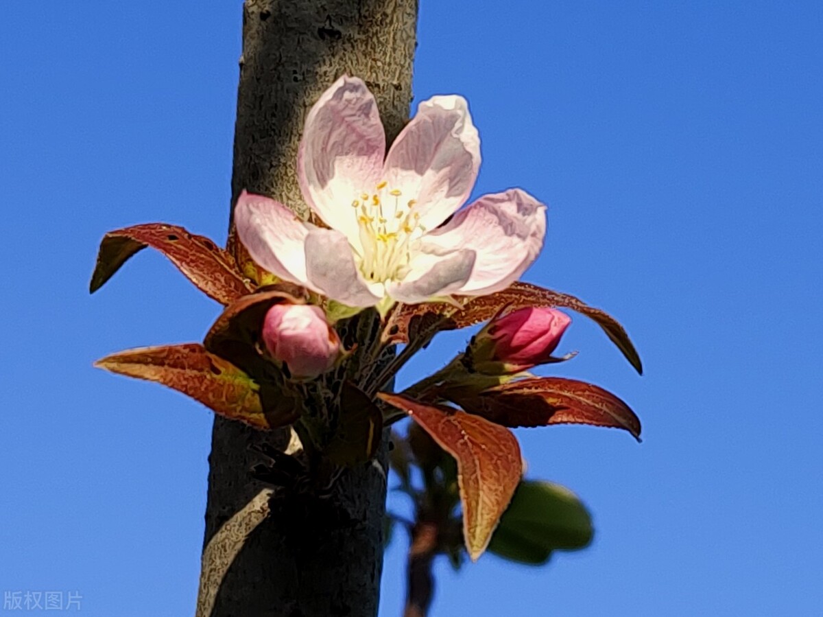 疾风知劲草患难见友情,患难中的友情600字