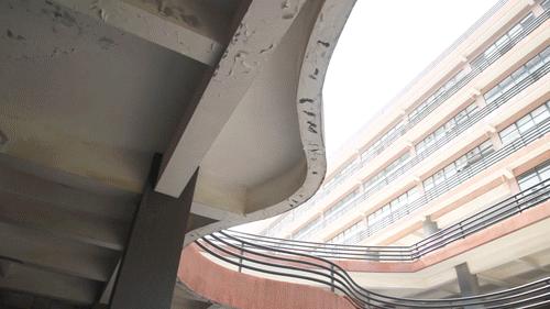 去广州美术学院需要准备什么,广州美术学院本科日常生活