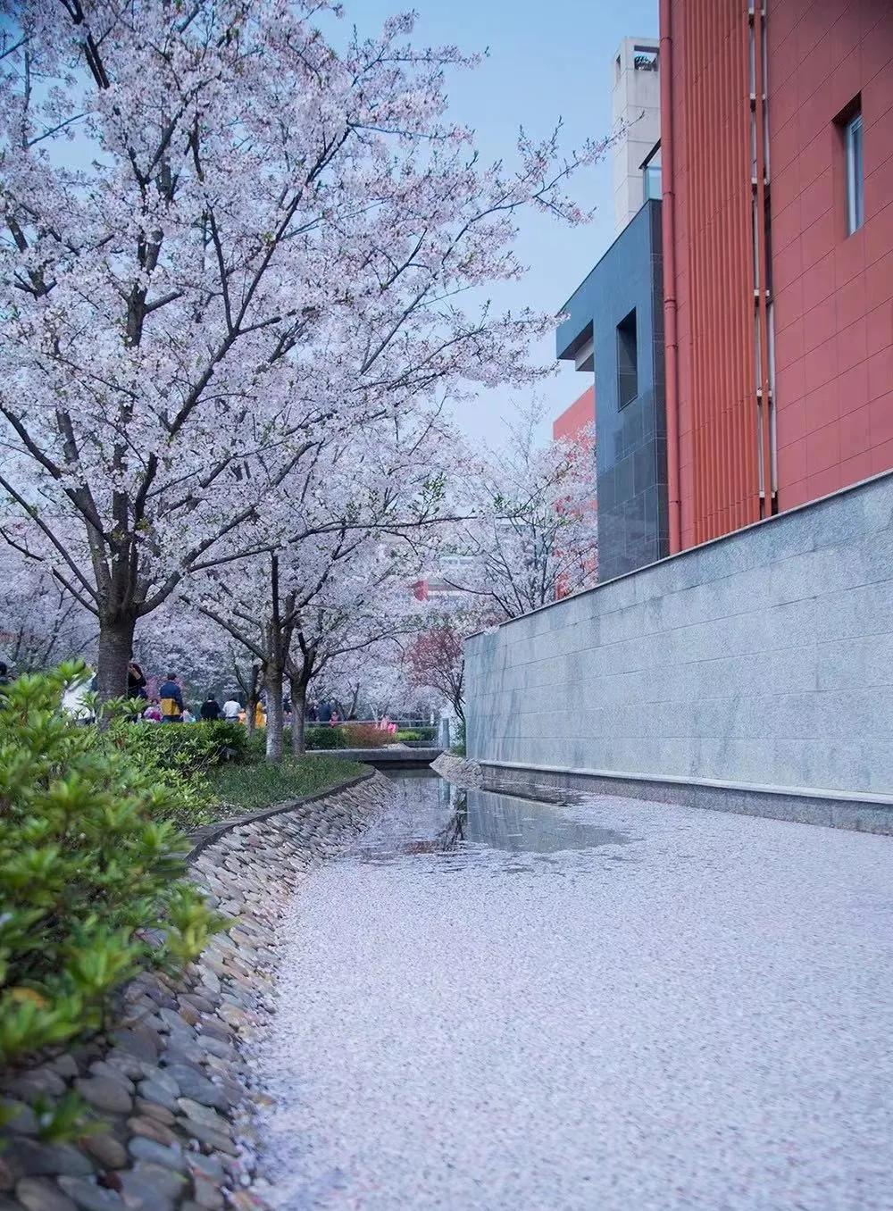 打了个样,南通现象级红盘