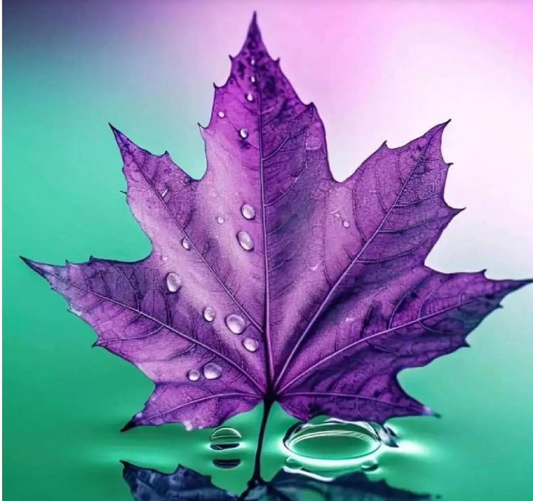 天蝎座男生性格优点和缺点分析图,天蝎座男生的性格优缺点分析图