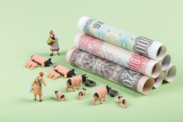 饲料价格如何降低养殖成本,饲料成本在养殖成本中占比多少