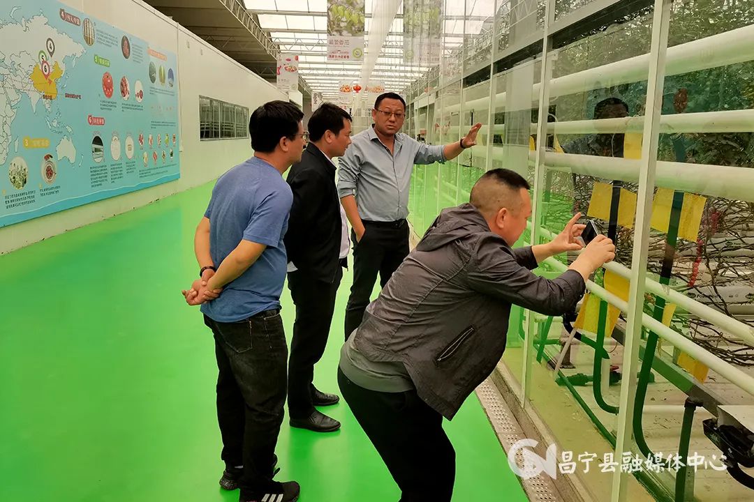 昌宁县招商项目,昌宁县湾甸镇