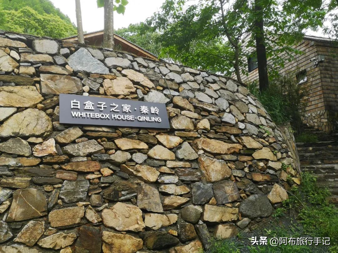 还没来得及去日本，却在秦岭来了趟值回东京票价的旅行