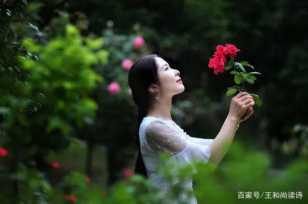 王和尚作品,王和尚书画家