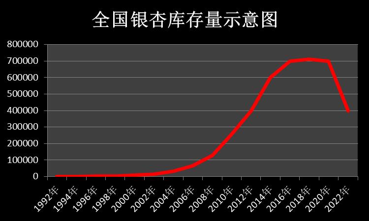 银杏以前价格为什么那么贵,银杏为何已是濒危植物