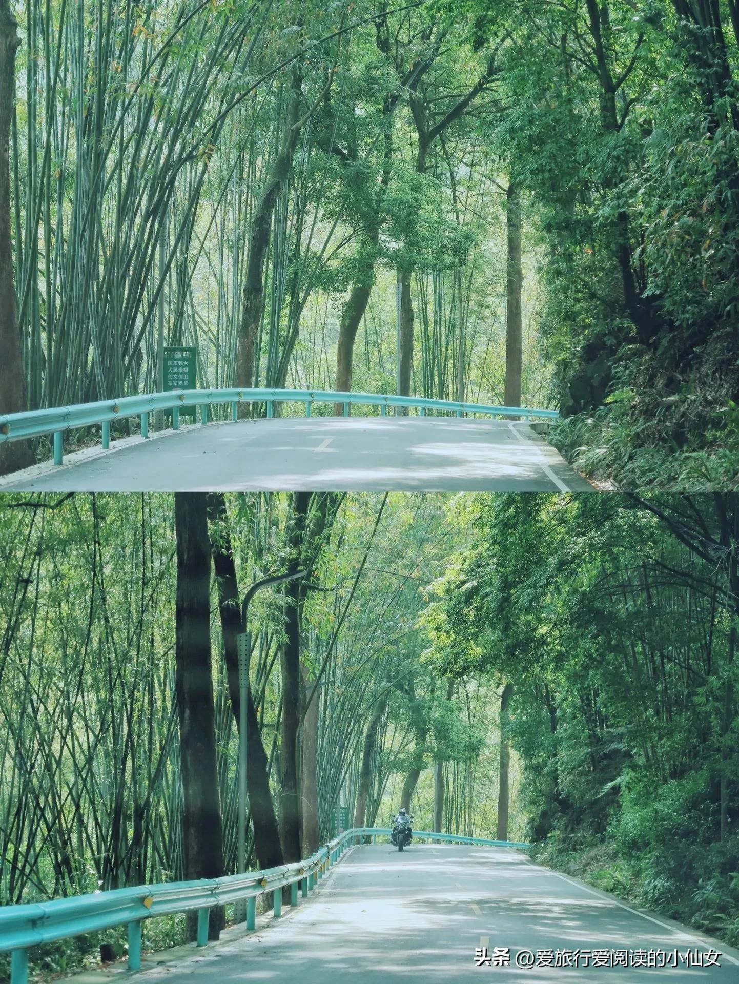 蜀南竹海自然生态景区,蜀南竹海云雾缭绕人间仙境