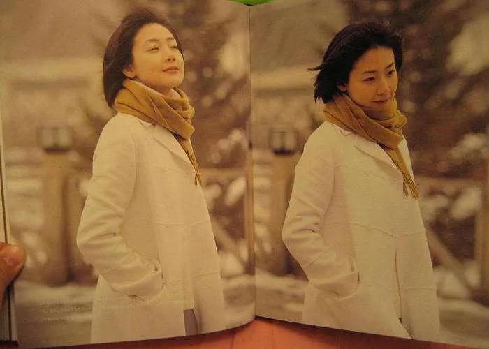 纯爱散文,散文关于阅读