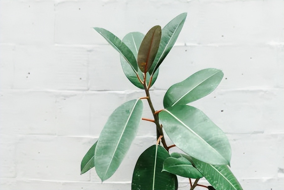 说话的最高境界深度好文,情商智商高的人说话才是最高境界