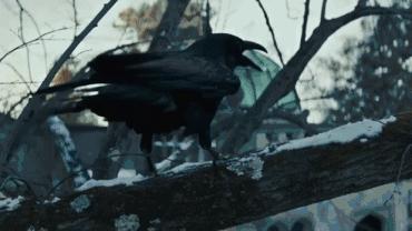 12月新片太太太太多了