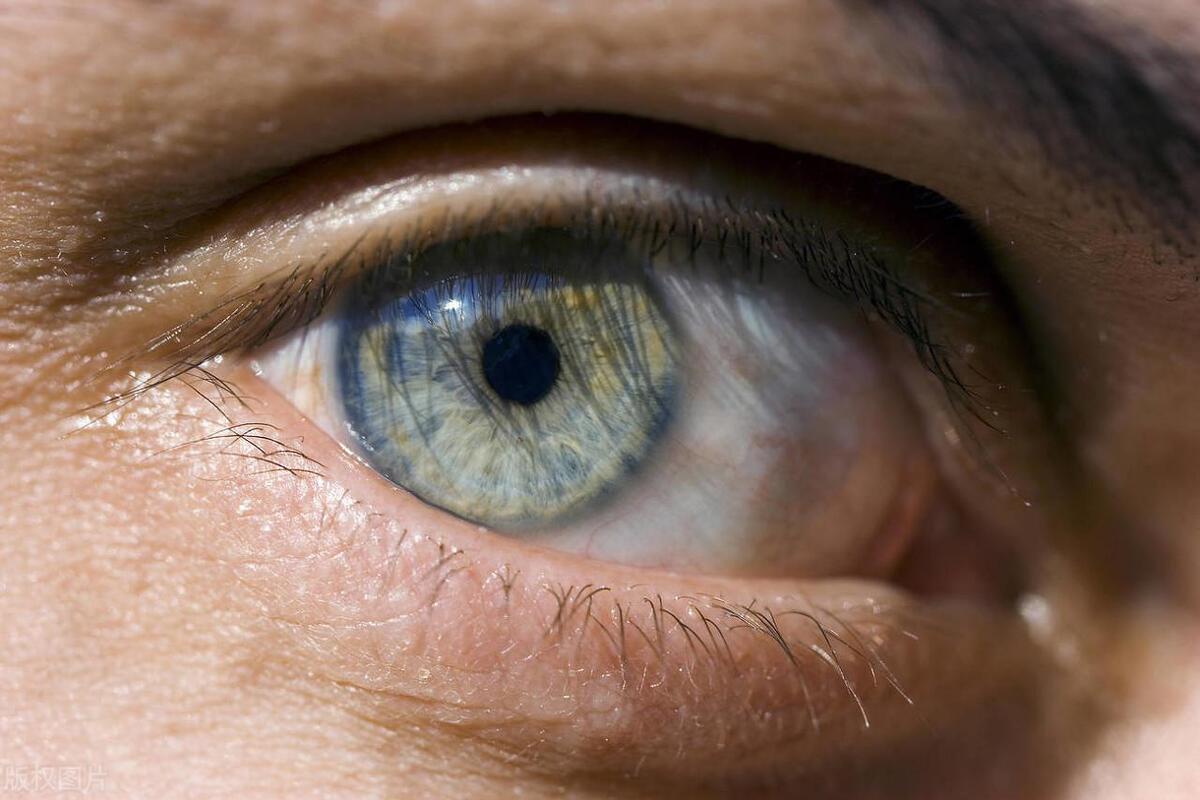 吃什么食物能对眼睛近视有帮助,近视多吃什么食物对眼睛好