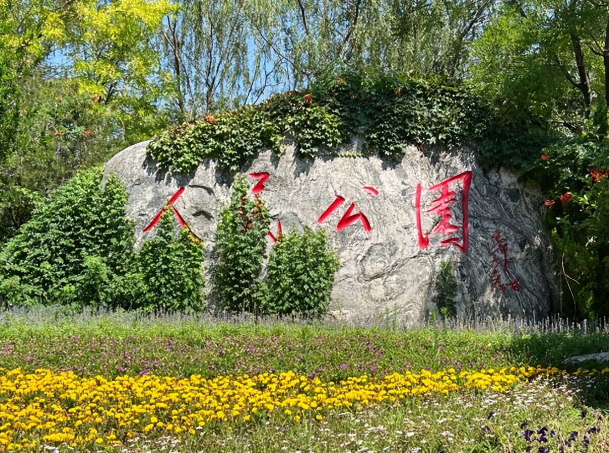 河西必去的地方,天津河西玩什么