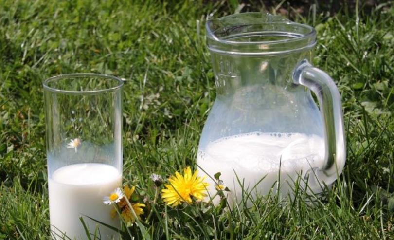 牛奶和橘子同食会怎么样,女子同食橘子