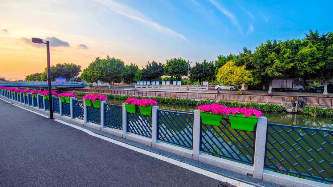 番禺夜晚打卡点,广州番禺区夜市游玩攻略