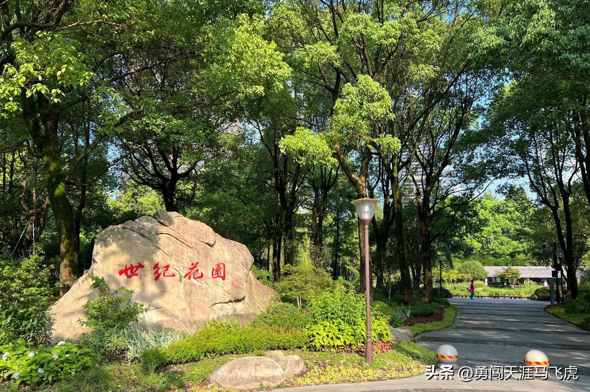 钱塘为伴同君悦日出江花似火红——东方君悦江河汇景观公寓