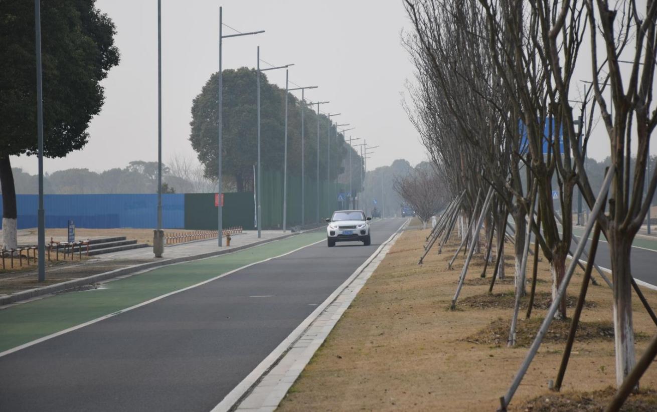 撕掉了所谓女性的身份标签,女司机车贴撕掉