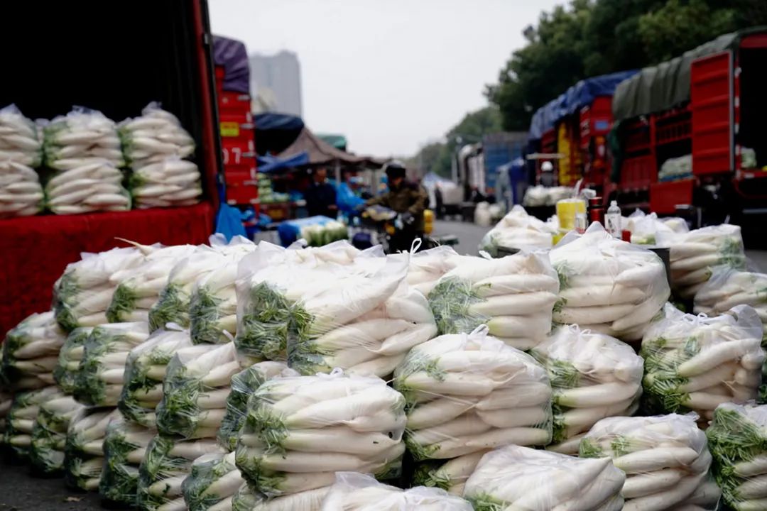 山东兰陵小伙从批发商转行做代办4年，每天出货20吨，说还是新手