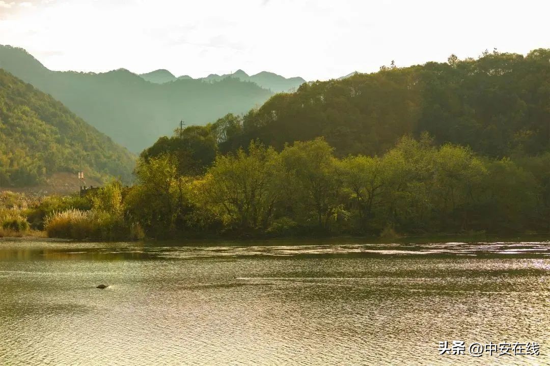 池州可以露营的湿地公园,池州户外露营地推荐